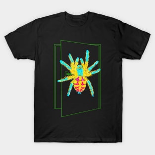 Brazilian Jewel Tarantula Typhochlaena seladonia T-Shirt